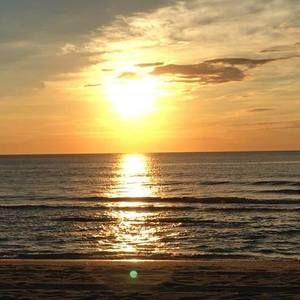 Meet your Posher, Ernesto